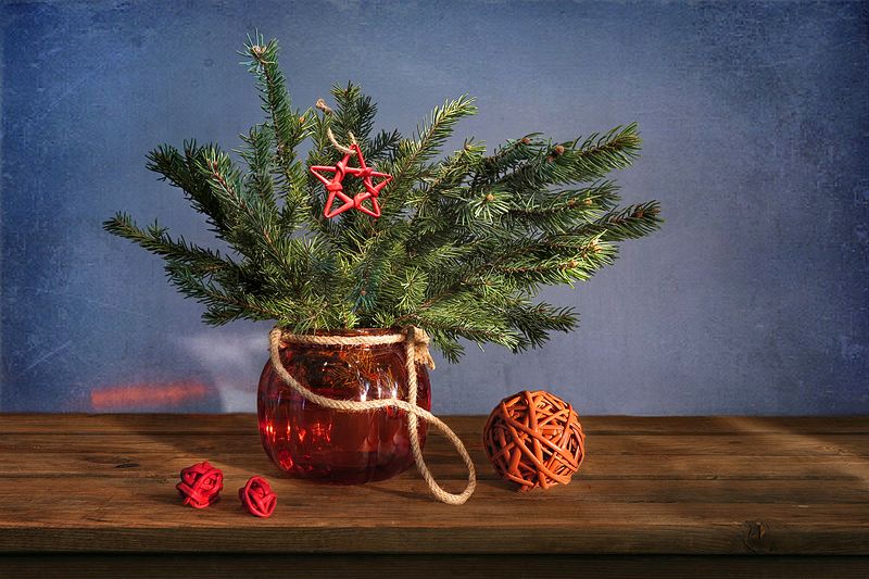 С красной звездой фото превью