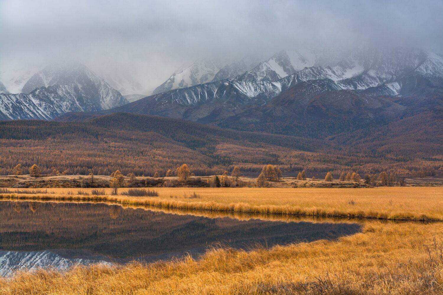 россия, горный алтай,осень,утро, Андрей Поляков