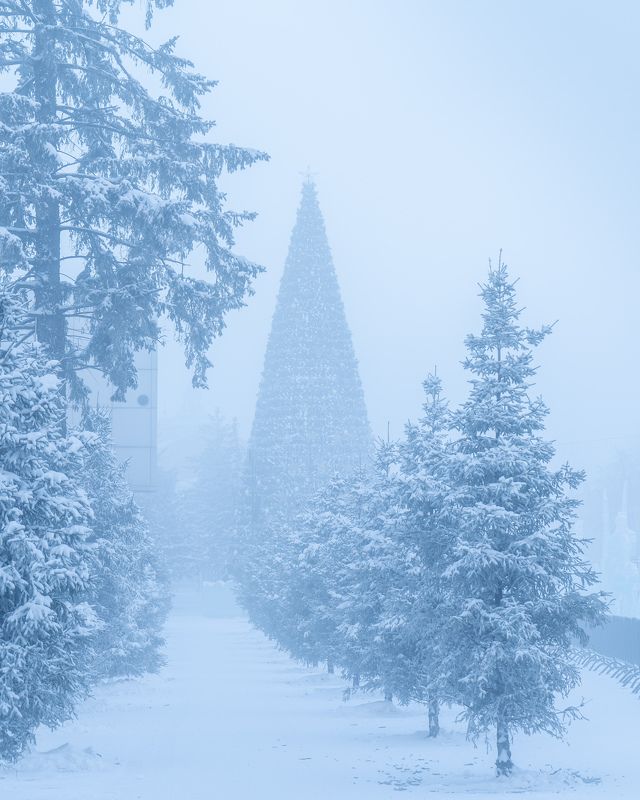 -42°… фото превью