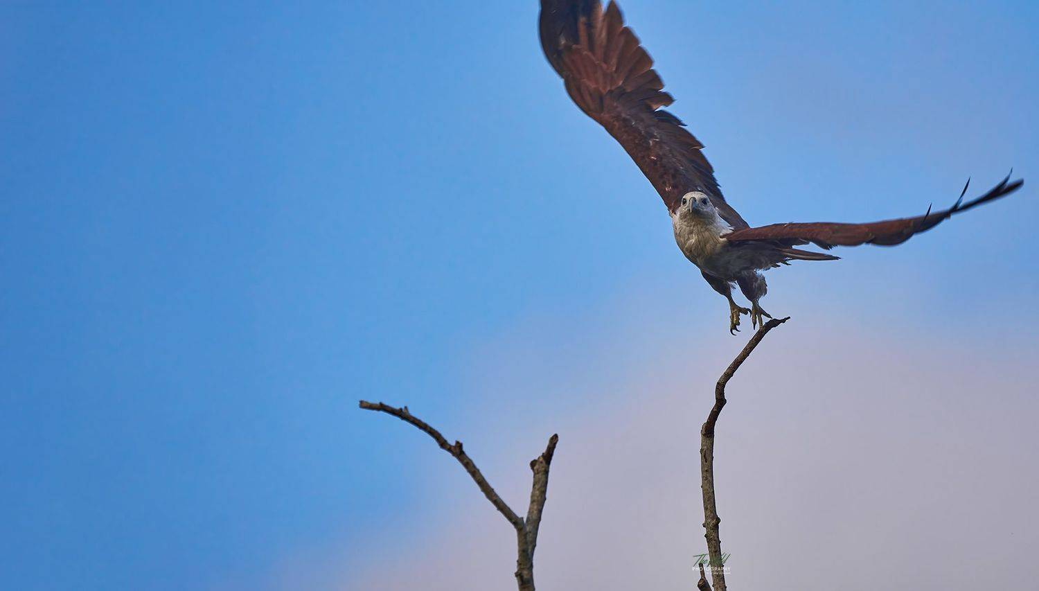 , Sonnadara Kushan Madushanka