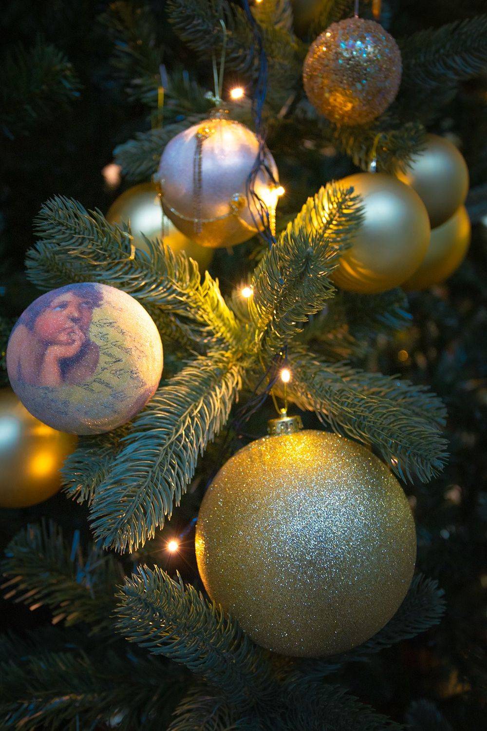 , Чудинин Дмитрий