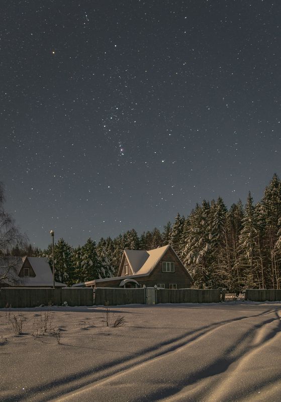 Зимний сон. фото превью
