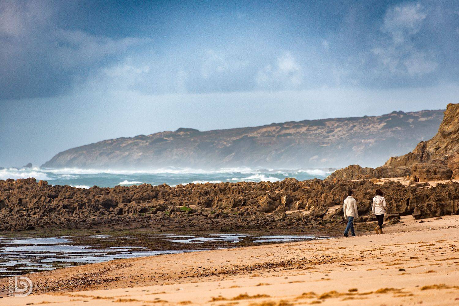 , Дмитрий Бакулин