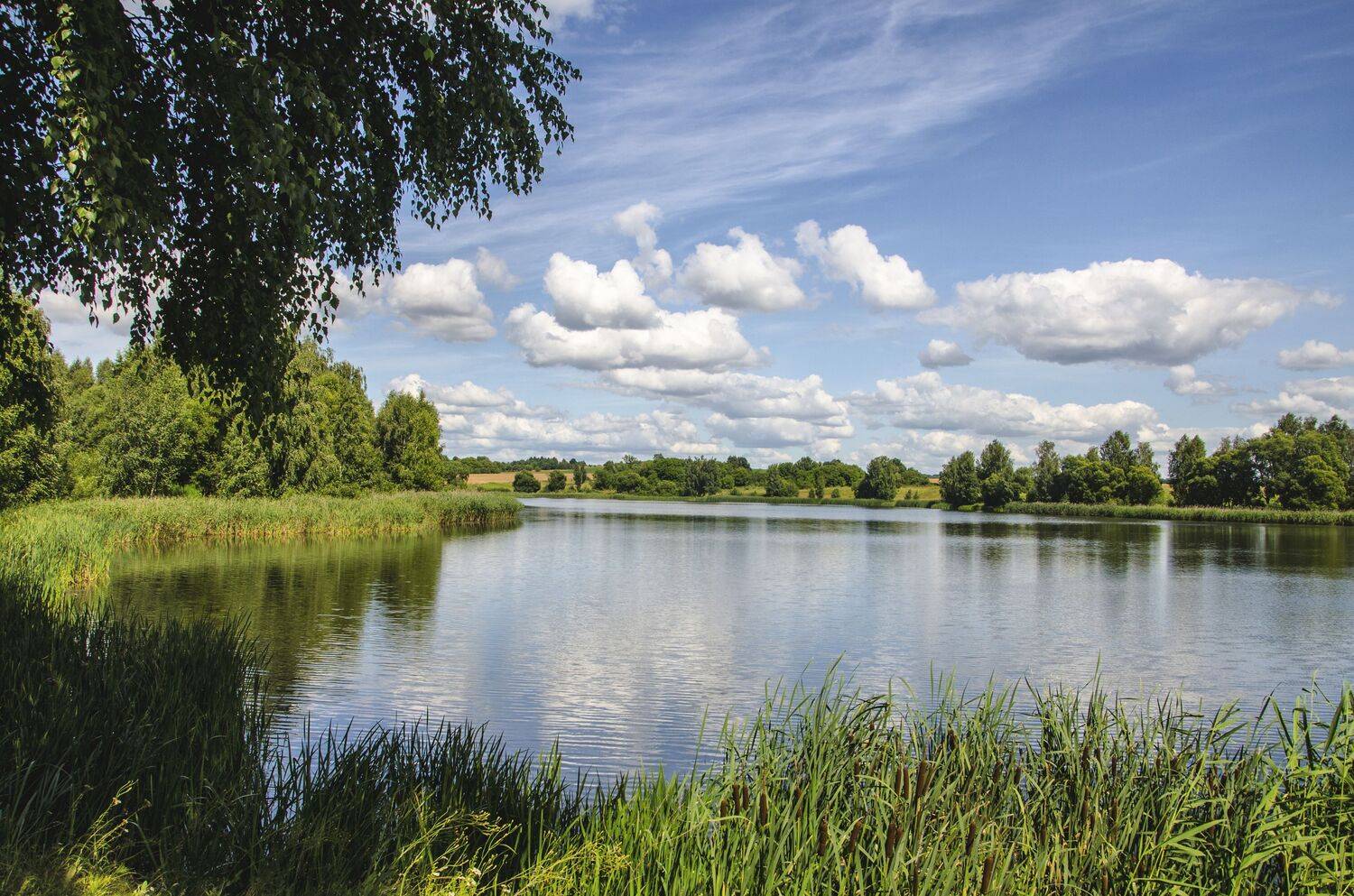 , Александр Березуцкий