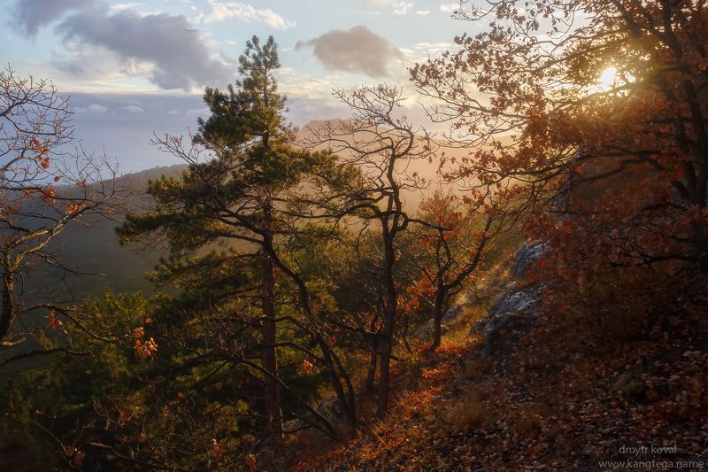 пейзажемагьё, пейзаж-как-виденье Открытость чувству Сокровенного… фото превью