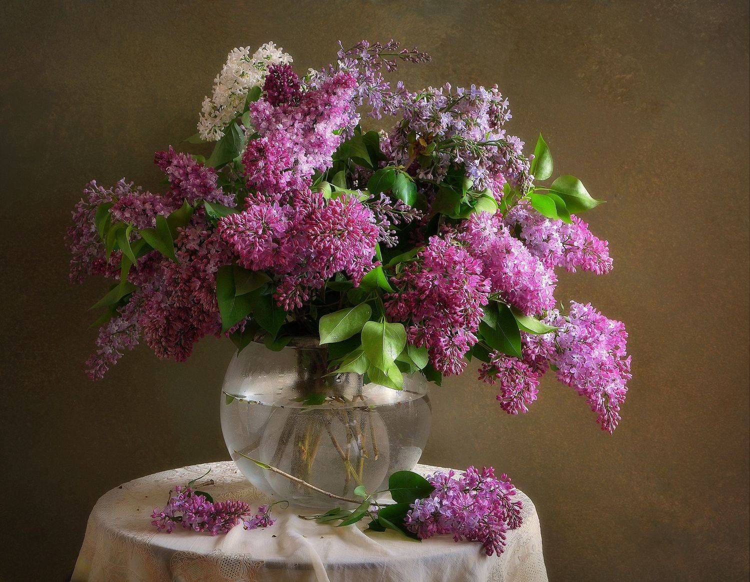 сергей алексеев, натюрморт, Сергей Алексеев