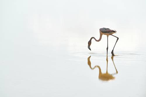 Walks in the sky / Прогулки в небе
