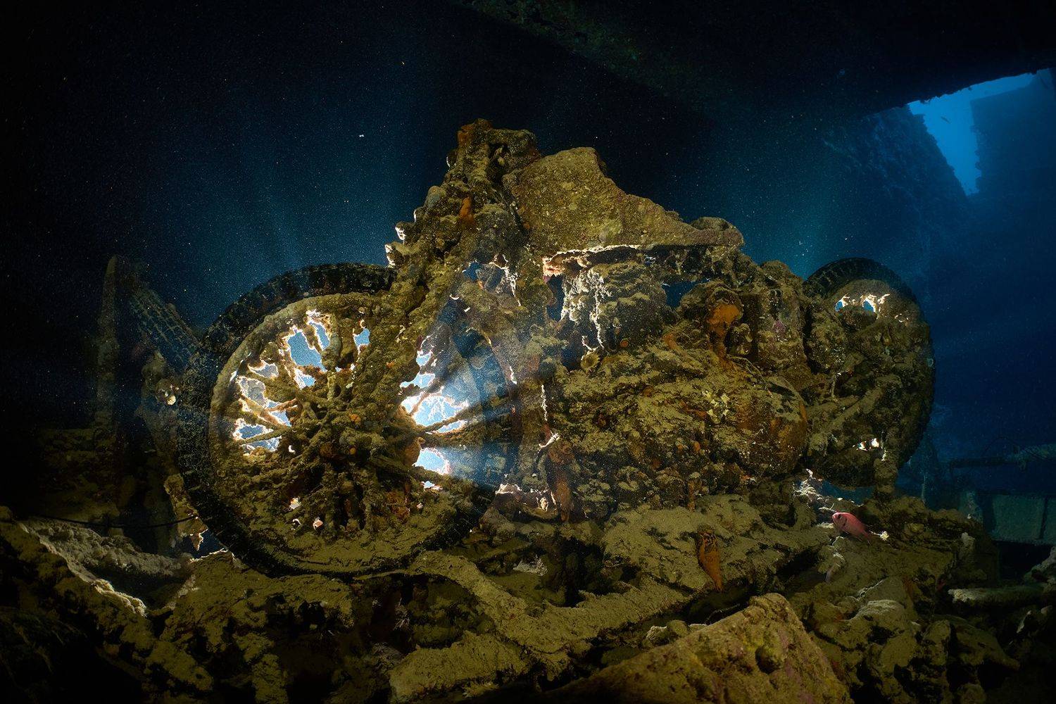 дайвинг, подводная фотосъемка, мотоцикл, рэк, тистлигорм, затонувший объект, PAVEL PEREPECHAEV