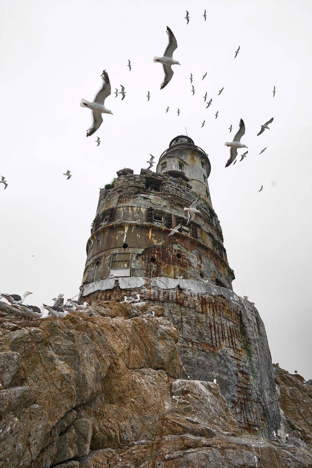 маяк анива, чайки, сахалин, маяк, путешествия, PAVEL PEREPECHAEV