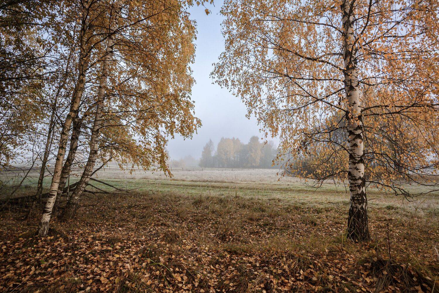 , Зеленько Дмитрий