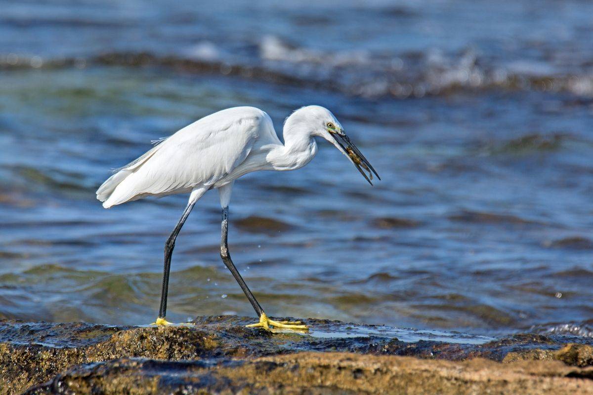 , Людмила Бекман