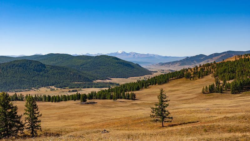 Алтай. Долина реки Большой Улаган фото превью