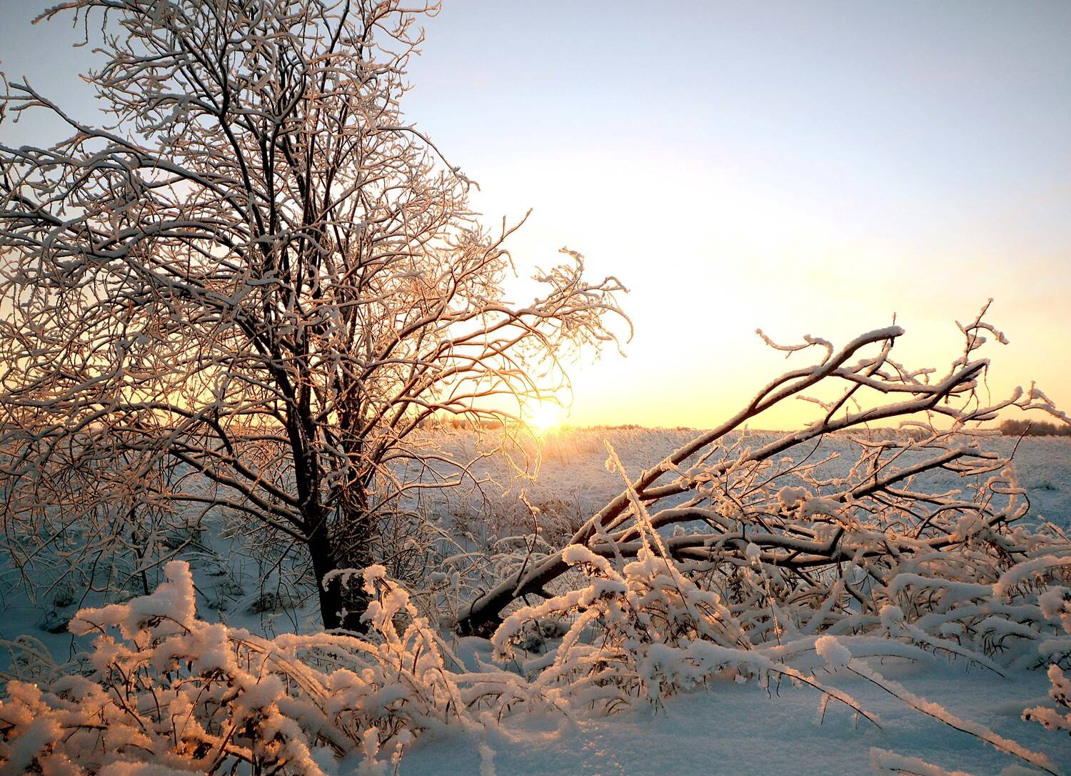 , Белоусов Михаил