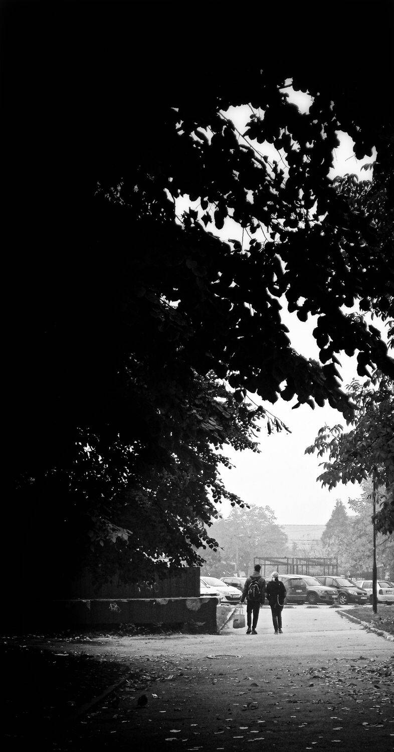 , Abdullah Ibradžić