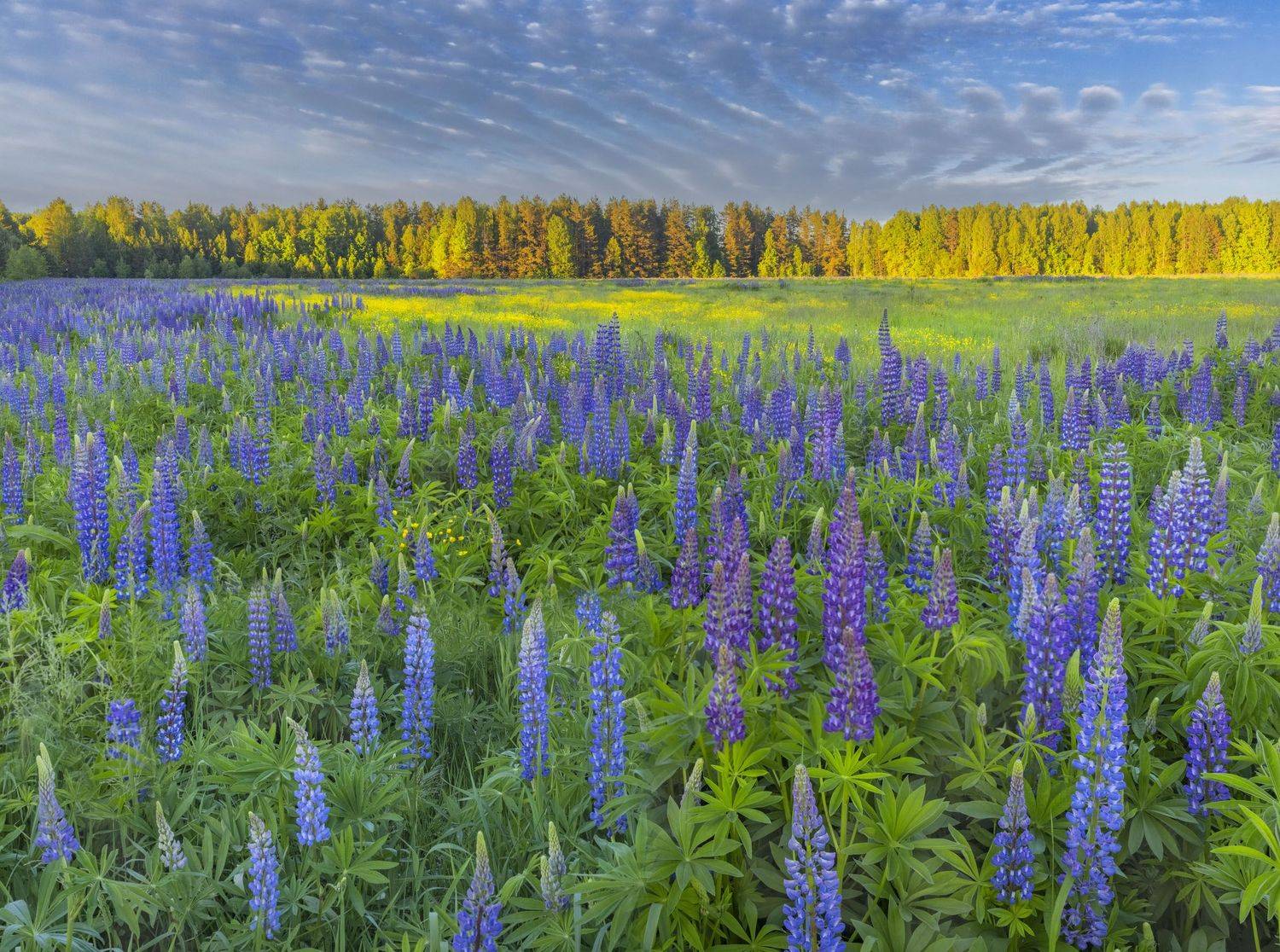 Фототуры с Владимиром Рябковым,#topnature #russpasibo #magic_shots #lovelyRussia #sunset_vision #exclusive_sky  #exclusive_shots #loves_russia2 #photoarena_nature #nature_sultans #nature_perfection #rsa_sky #rsa_sunset #photorussia #rsa_naturepics #sunset, Владимир Рябков