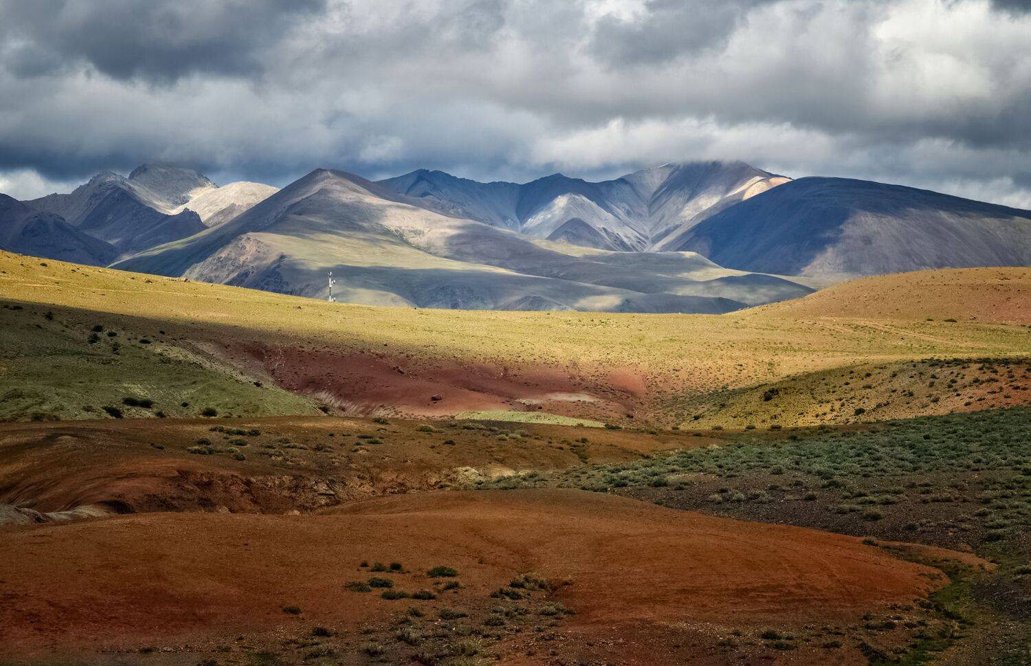 горный алтай,лето,курайский хребет,чуйская степь после дождя, lora_pavlova