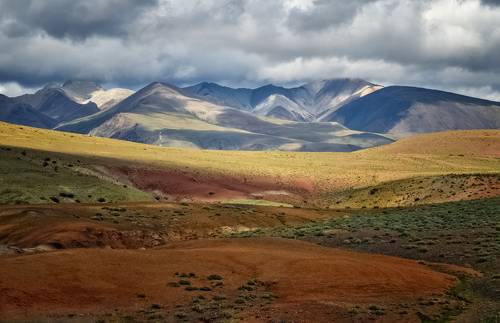 Палитра Чуйской степи