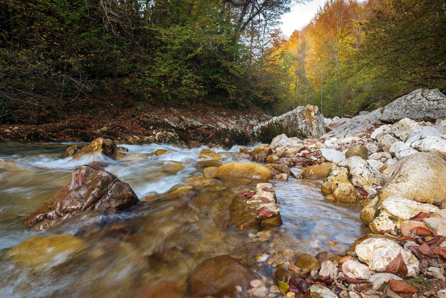 река курджипс, Алексей Рыльский