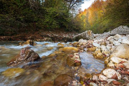 Р. Курджипс. Мезмай