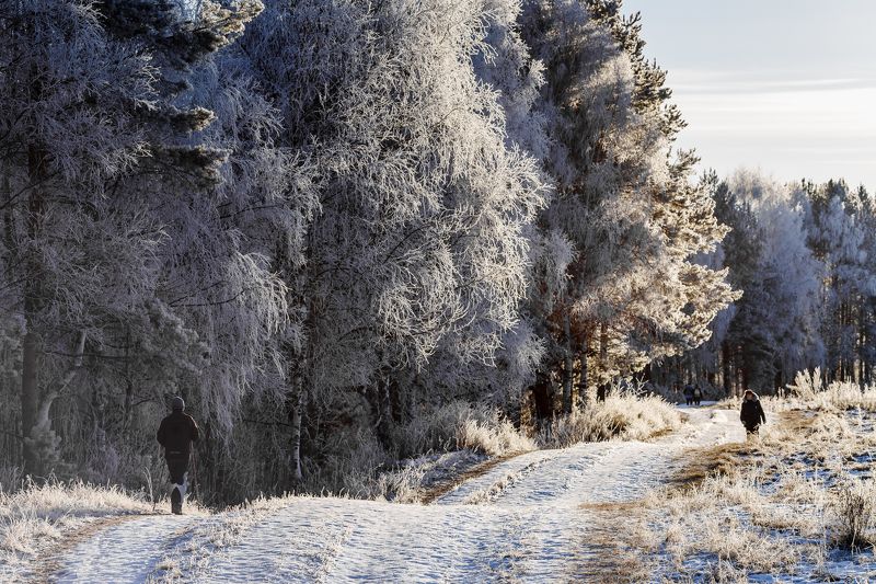 Дорога на родник фото превью