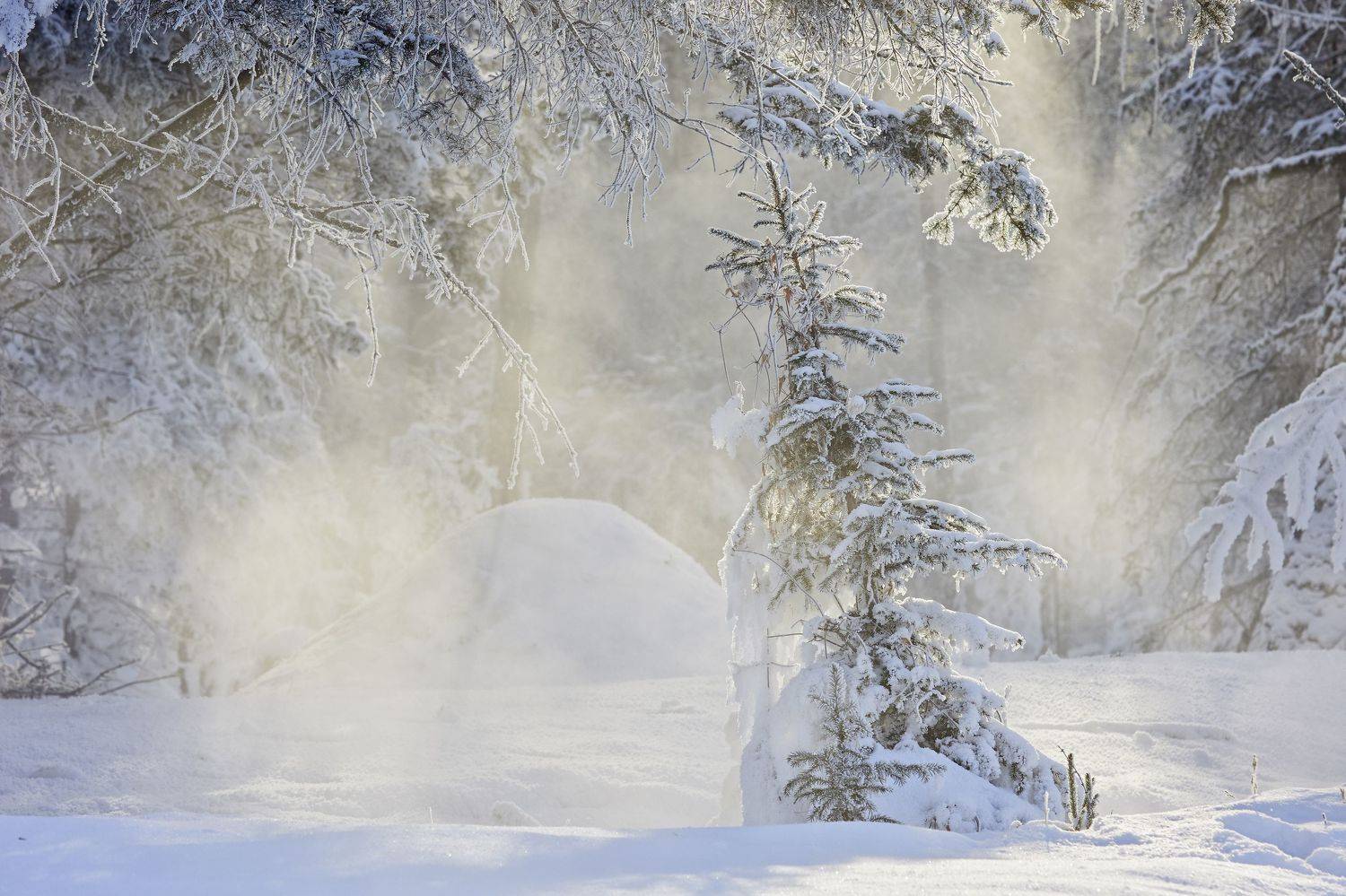 , Байбородин Михаил