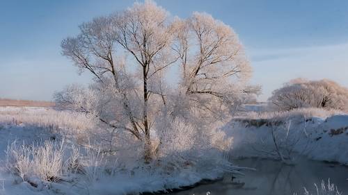 Иней над рекой