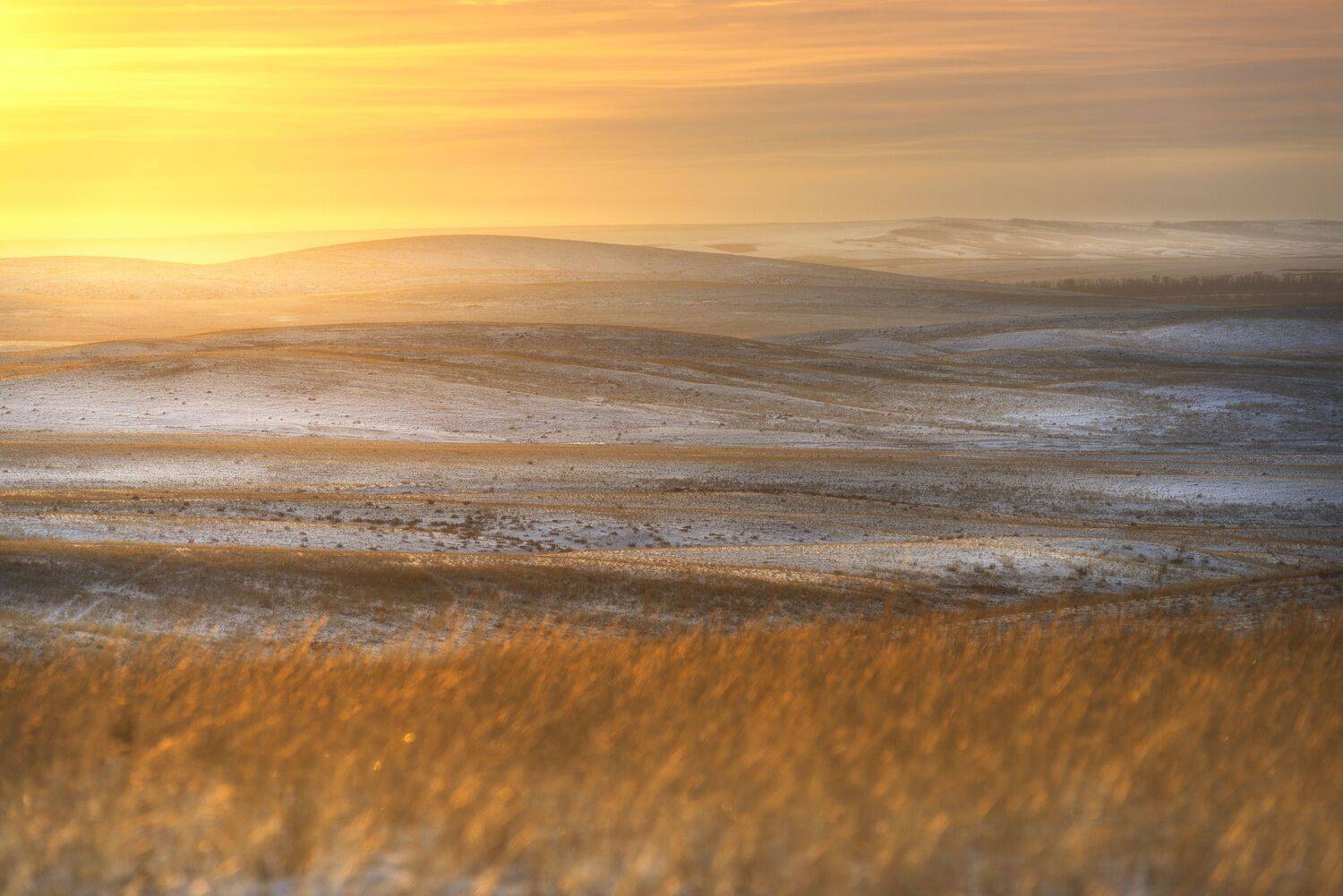 , Антонов Антон