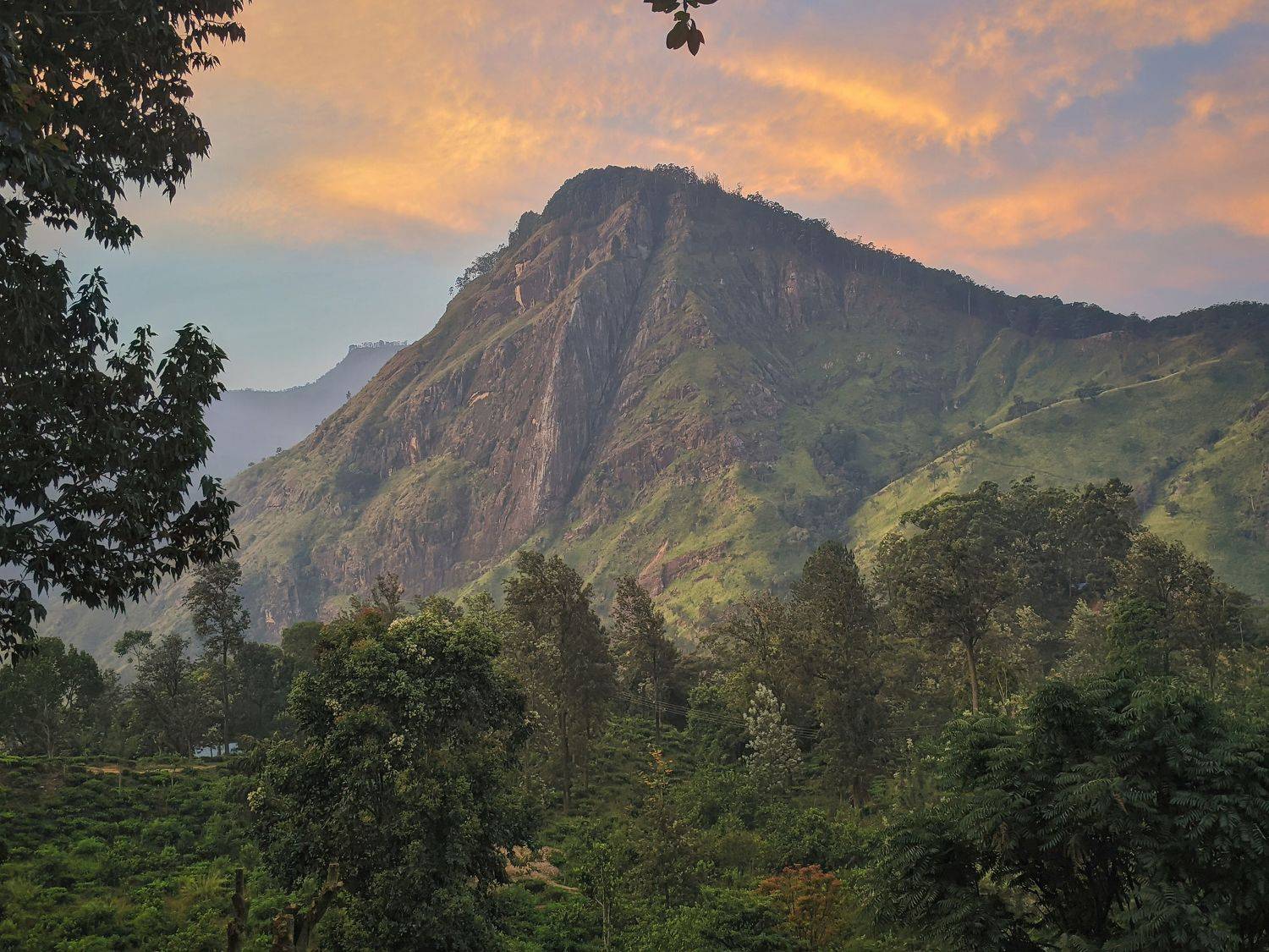 мобильная фотография, mobile photography, природа, пейзаж, sri lanka, nature, landscape, Дудников Александр