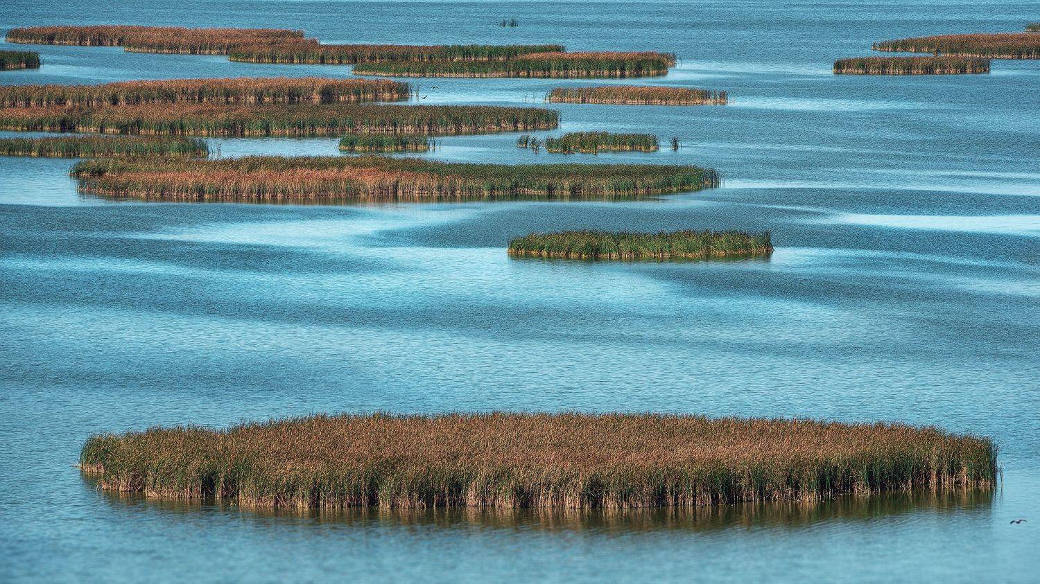 khanchalilake, lake, georgia, PAPKIAURI TORNIKE