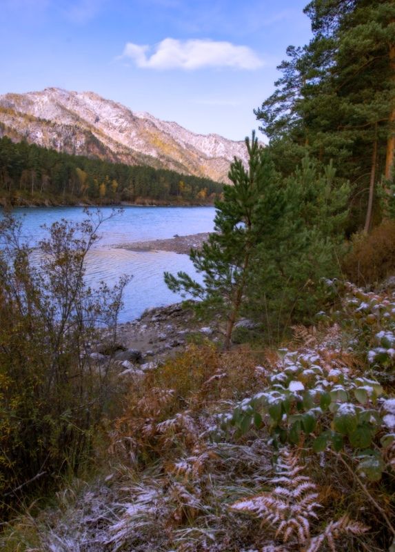 фото превью