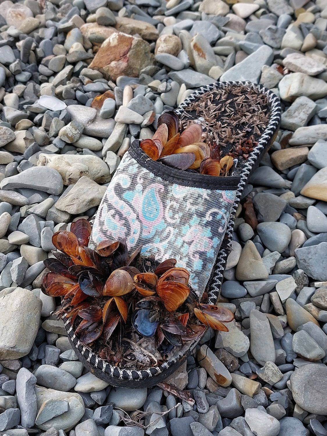 , Павел Сагайдак