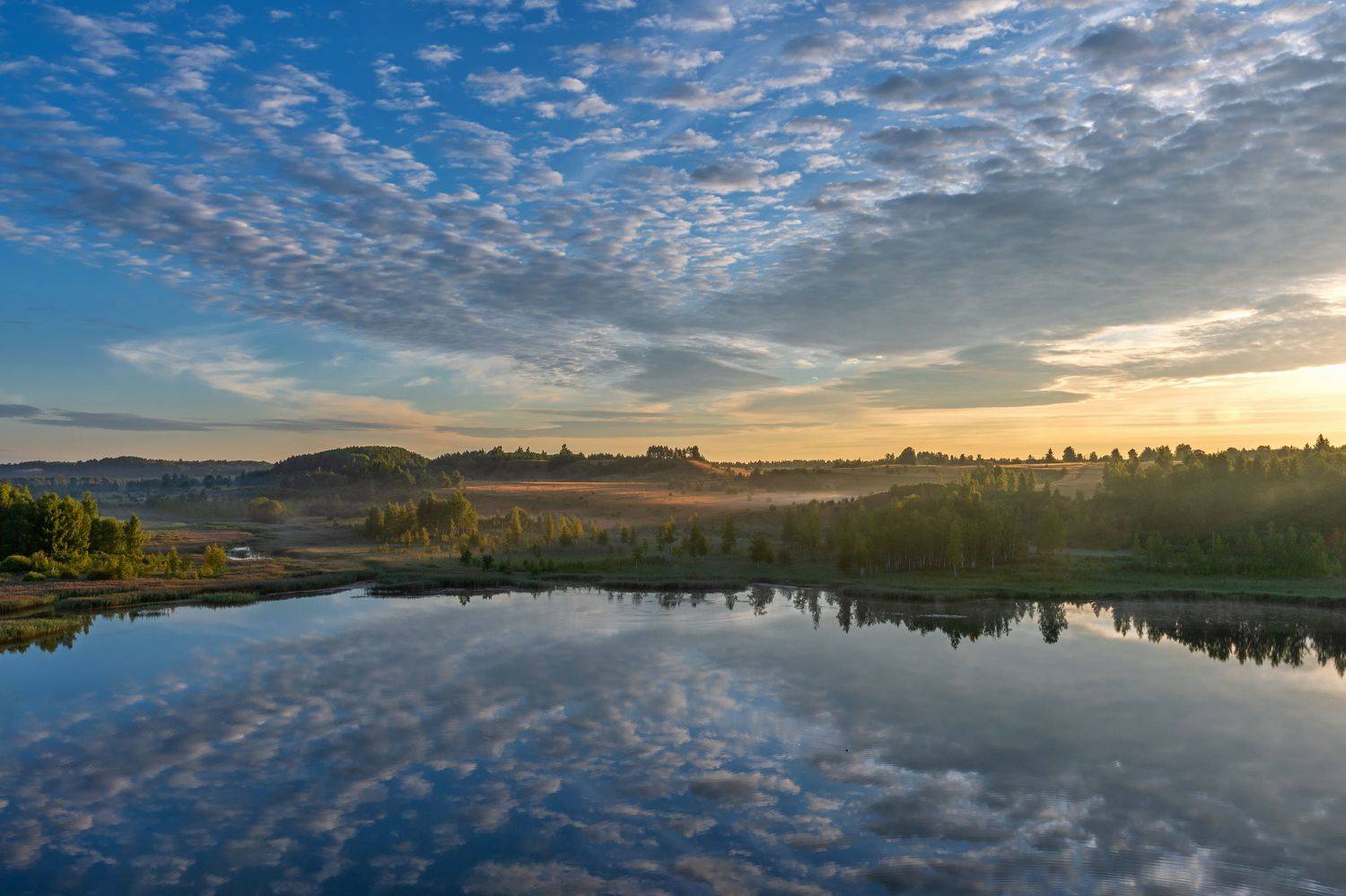 , Виктор Желенговский