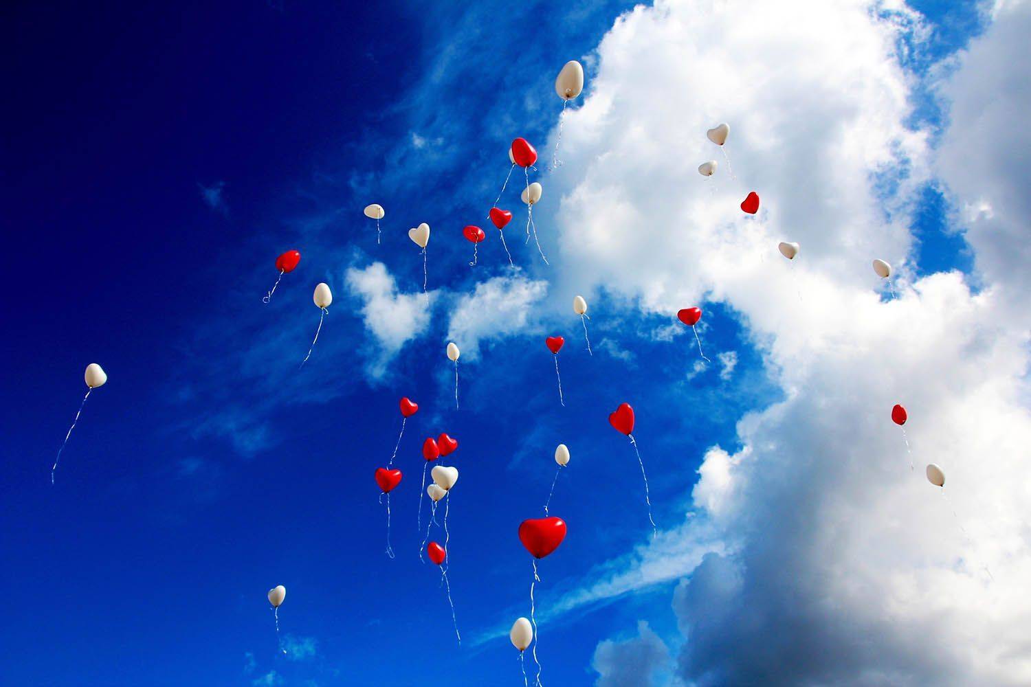 , mehdi karimi souderjani