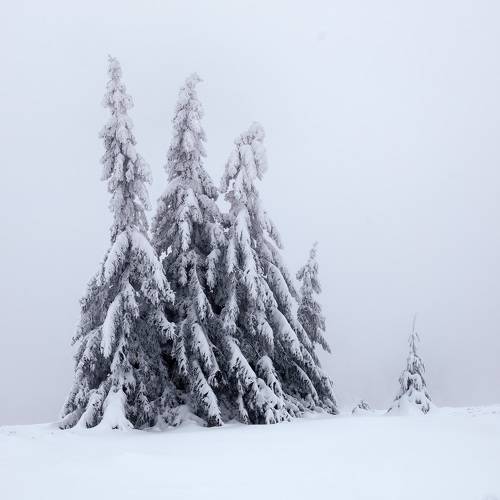Адвент