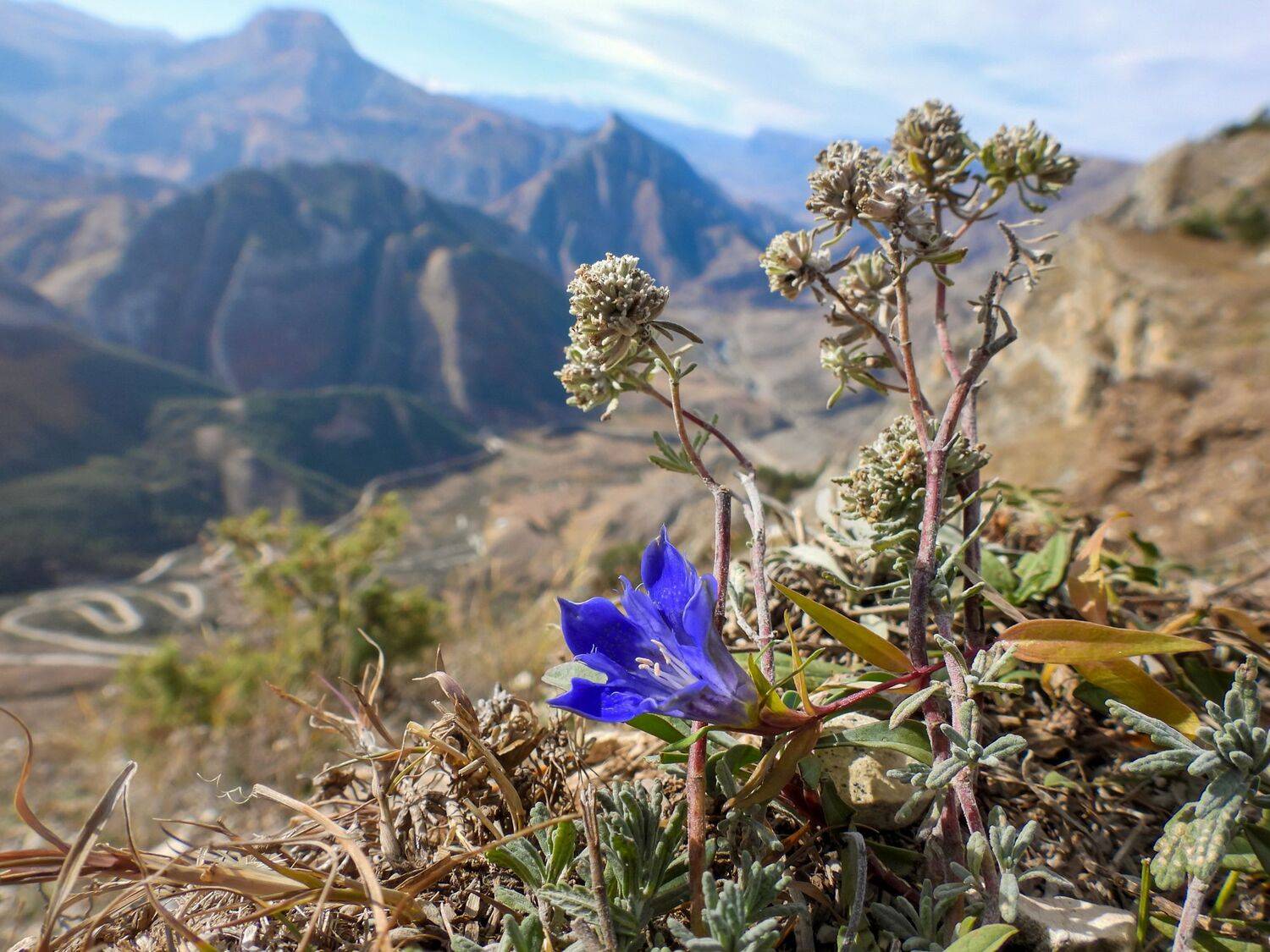 Дагестан, горы, Кавказ, Лесина Елена