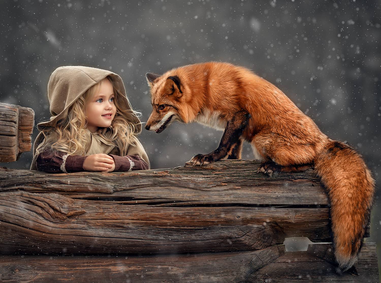 , Елена Михайлова