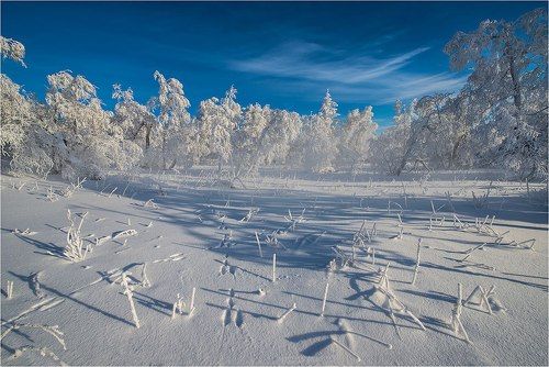 Гармония палок