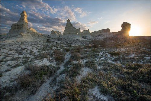 Весна в пустыне.