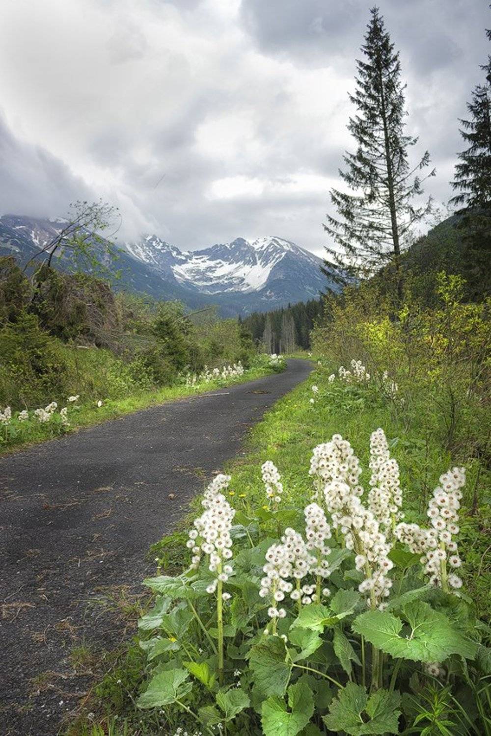 Словакия, Татры, Vitalijus Serioginas