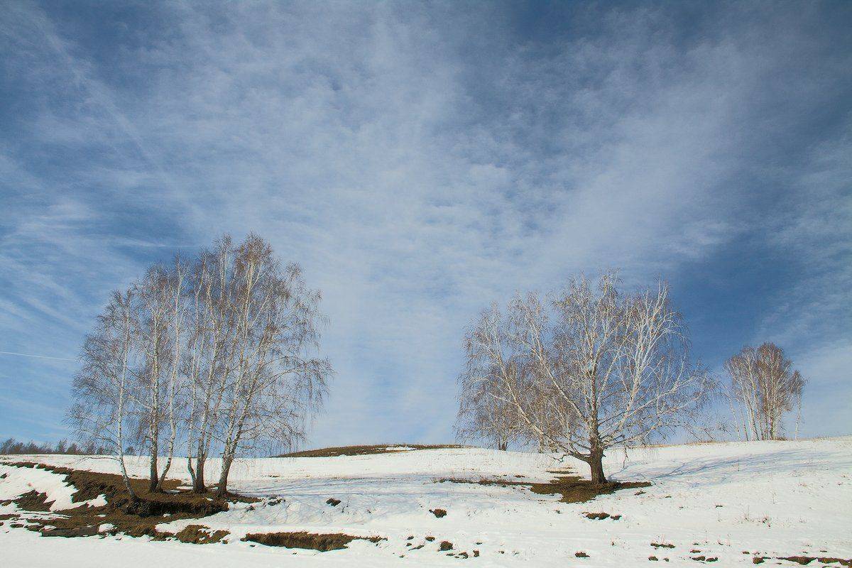 , Николай Морский