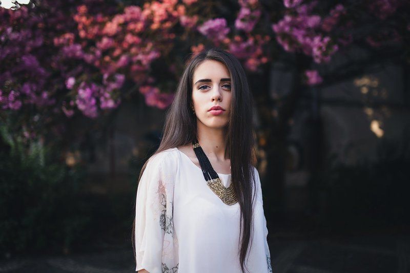 Цветение сакуры фото превью