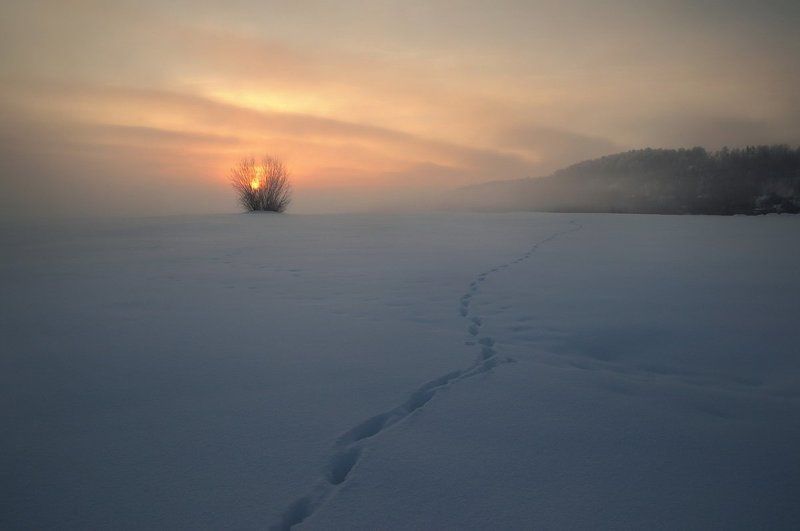 В рассвет фото превью