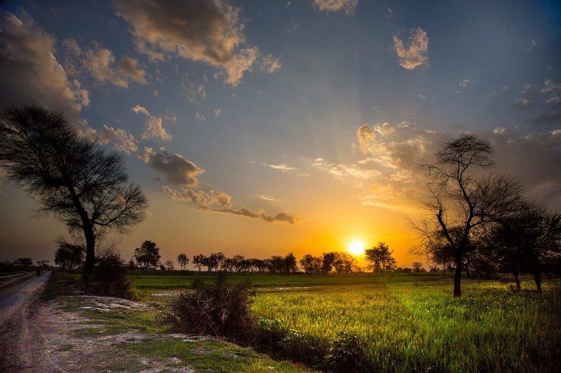 @ фото превью