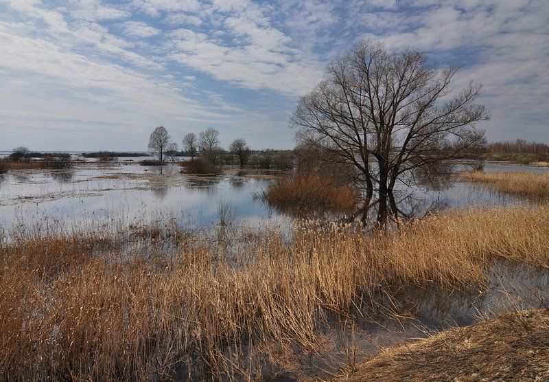 Неро, разлив фото превью