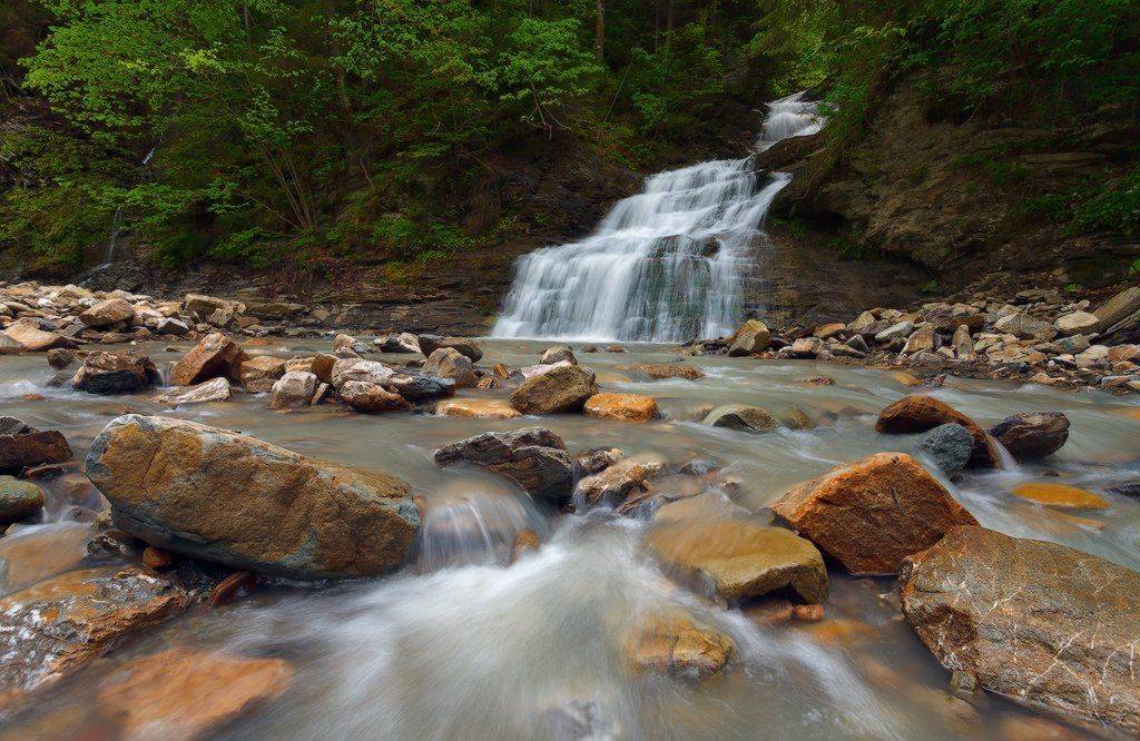 , Ярослав Тюрменко (Jaremi)