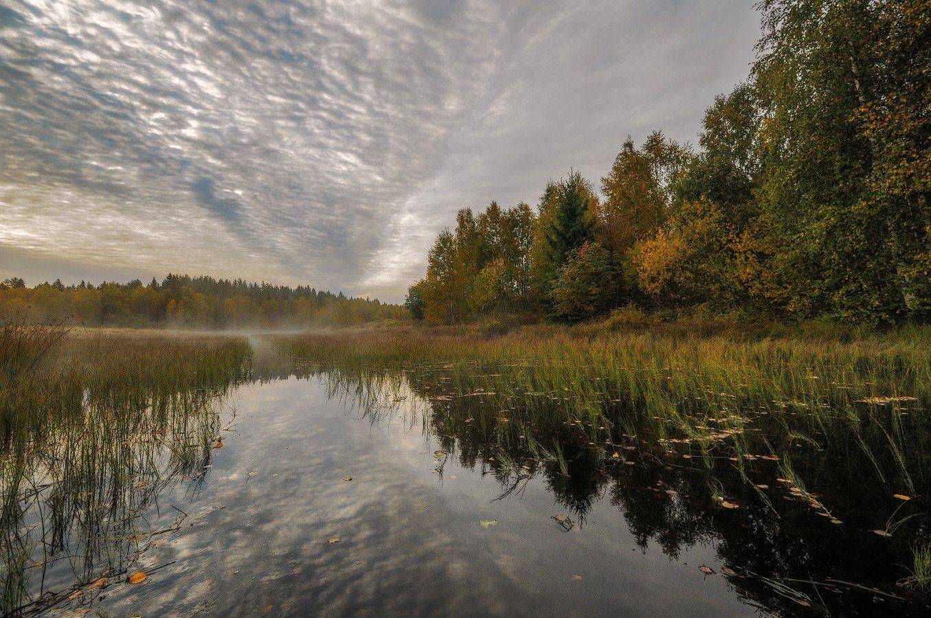Великий двор, Вологодчина, Кема, Осень, Протока, Роман Горячий