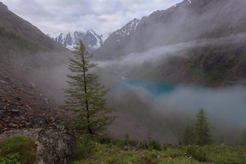 Вдоль Нижнешавлинского фото превью