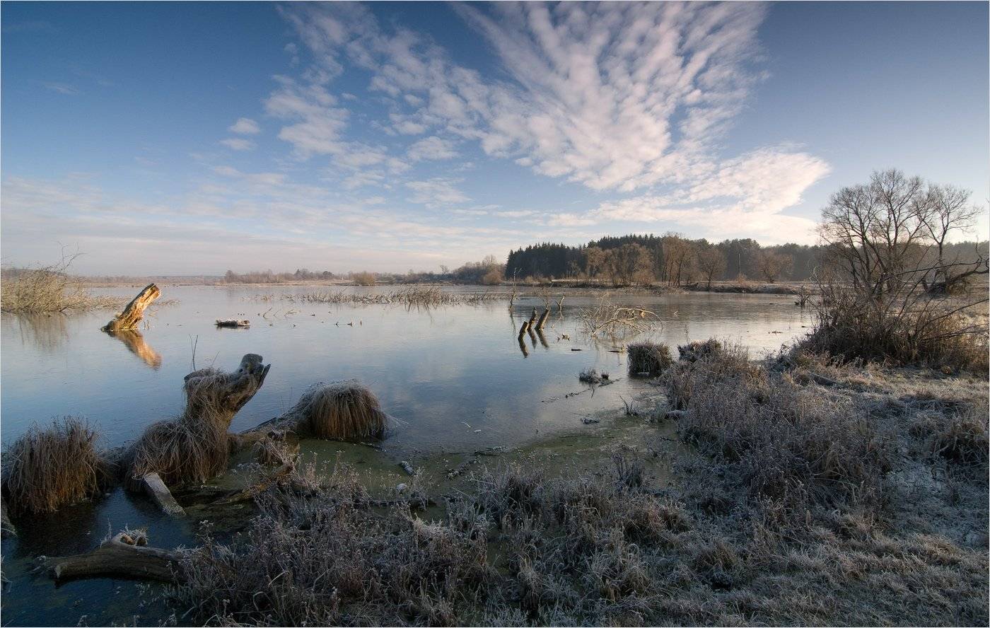 , Николай Шахманцир