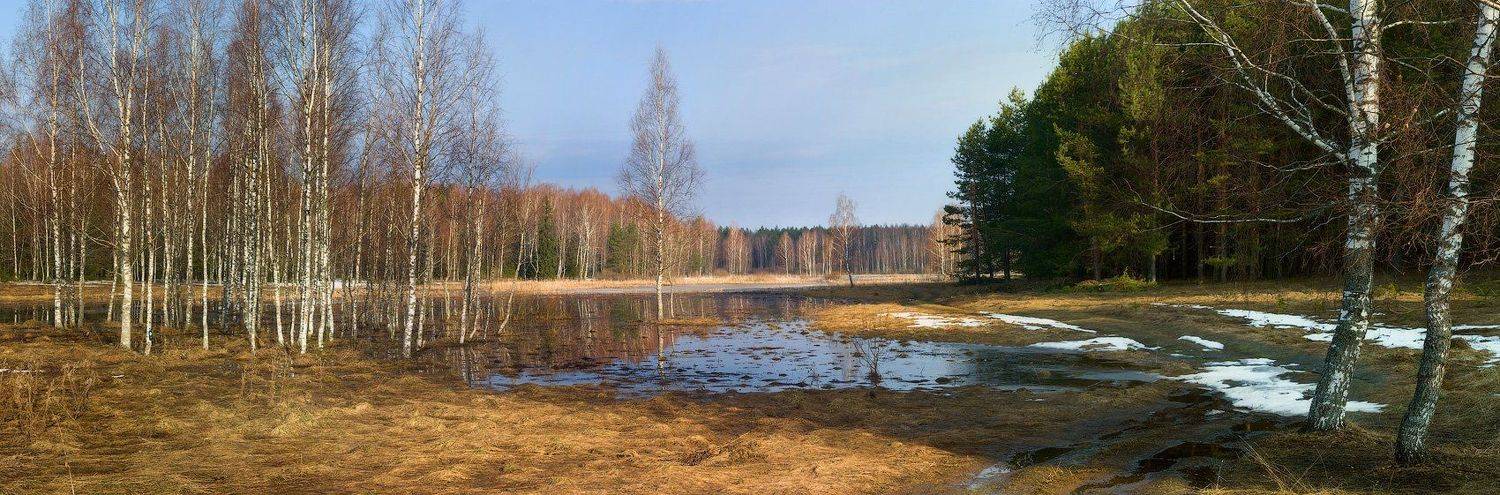 , Дмитрий Алексеев