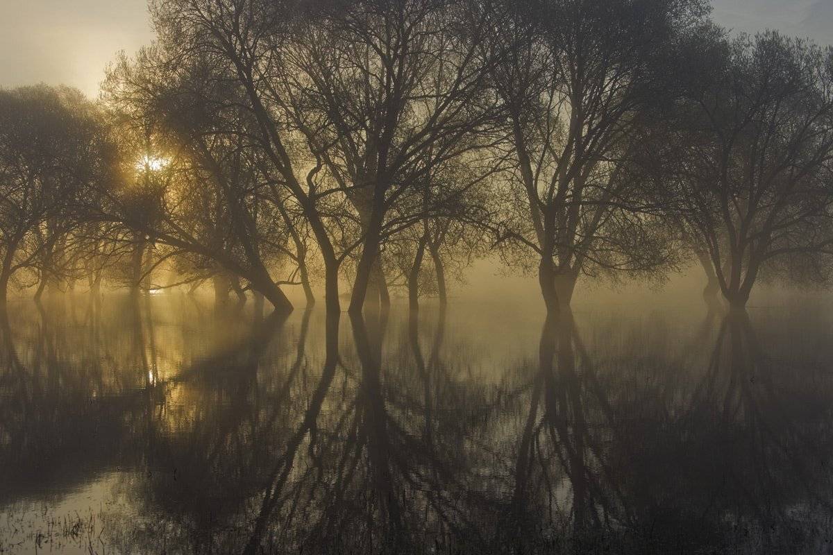 , Валерий Кондратов